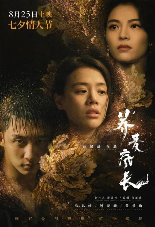 仿制假哥斯达黎加驾驶证